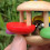 Sunflower-Shaped Solid Wood Baby Rattle - Colorful 10
