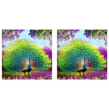 2X DIY Diamond Painting Diamond Embroidery Round Resin Diamond Stitch Home Wall Decor 30X30cm,