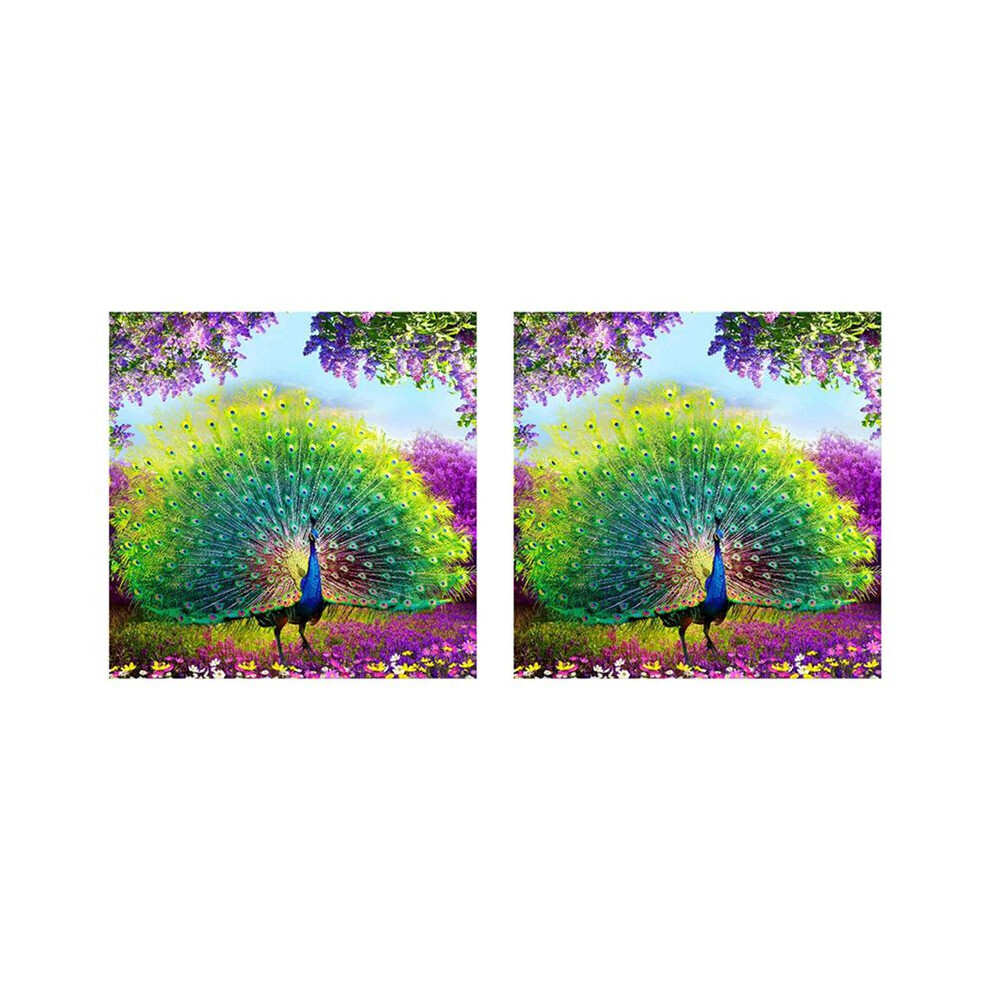 2X Diy Diamond Painting Diamond Embroidery Round Resin Diamond Stitch Home Wall Decor 30X30cm, 6032695572917