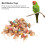 Smart WiFi Plug with Timer Max Load 15A Compatible with Alexa & Google 3