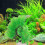 Arbre Décoratif Pour Aquarium Vert Naturel Résistant 4