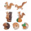 8Pièces Jouet Écureuil PVC Créatif Multicolore Mini Animal Forêt 8
