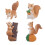 8Pièces Jouet Écureuil PVC Créatif Multicolore Mini Animal Forêt 11