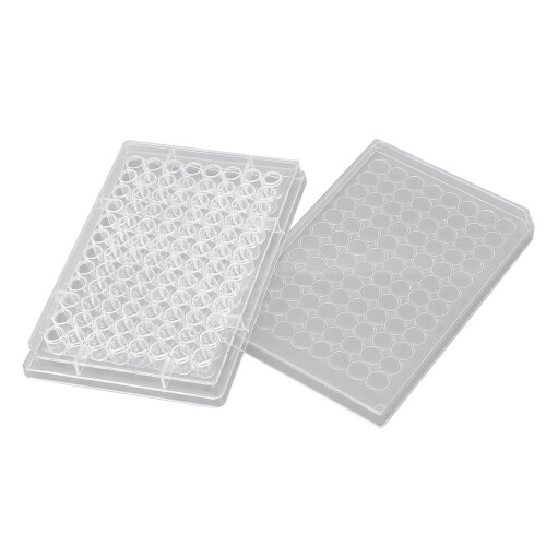 10x 96 Well Tissue Culture Plate Polystyrene