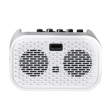 Electric Acoustic Guitar Amplifier Powered Portable  Speaker Distortion Delay Effects10W