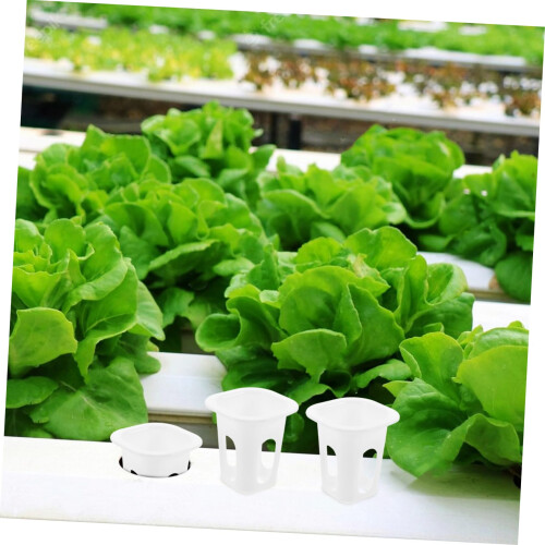 50pcs Square Hydroponic Net Pots Reusable Plastic Planting Baskets for Vegetables and Orchids 2