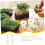 50pcs Square Hydroponic Net Pots Reusable Plastic Planting Baskets for Vegetables and Orchids 4