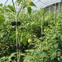 (100pcs Black) Plant Support Clips Plastic Vine Ties for Home Tomato Cucumber Gardening Use