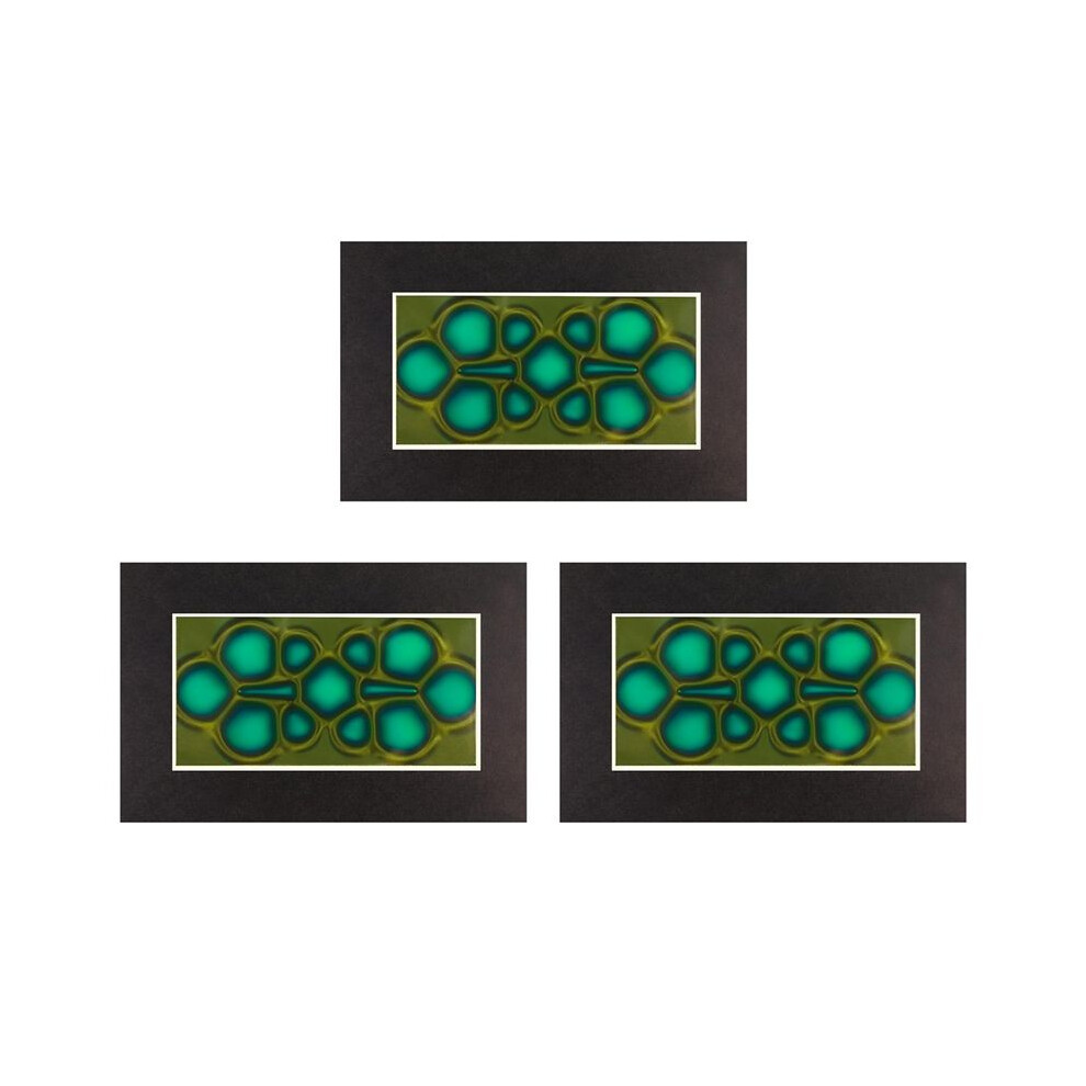 3X Magnetic Viewing Film, 2Inchx 4Inch Magnetic Field Viewer For Scientific Projects,Reusable And Automatic Recovery 6031722881527