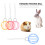 conjunto 4 peças com bolas e brinquedos pendurados para hamster 7