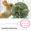 conjunto 4 peças com bolas e brinquedos pendurados para hamster 8