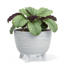 (Medium) GEEZY White Plant Pots with Legs Indoor Outdoor Planters for Home Patio Garden