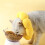 1 anti- halsband hond en kat, M 10