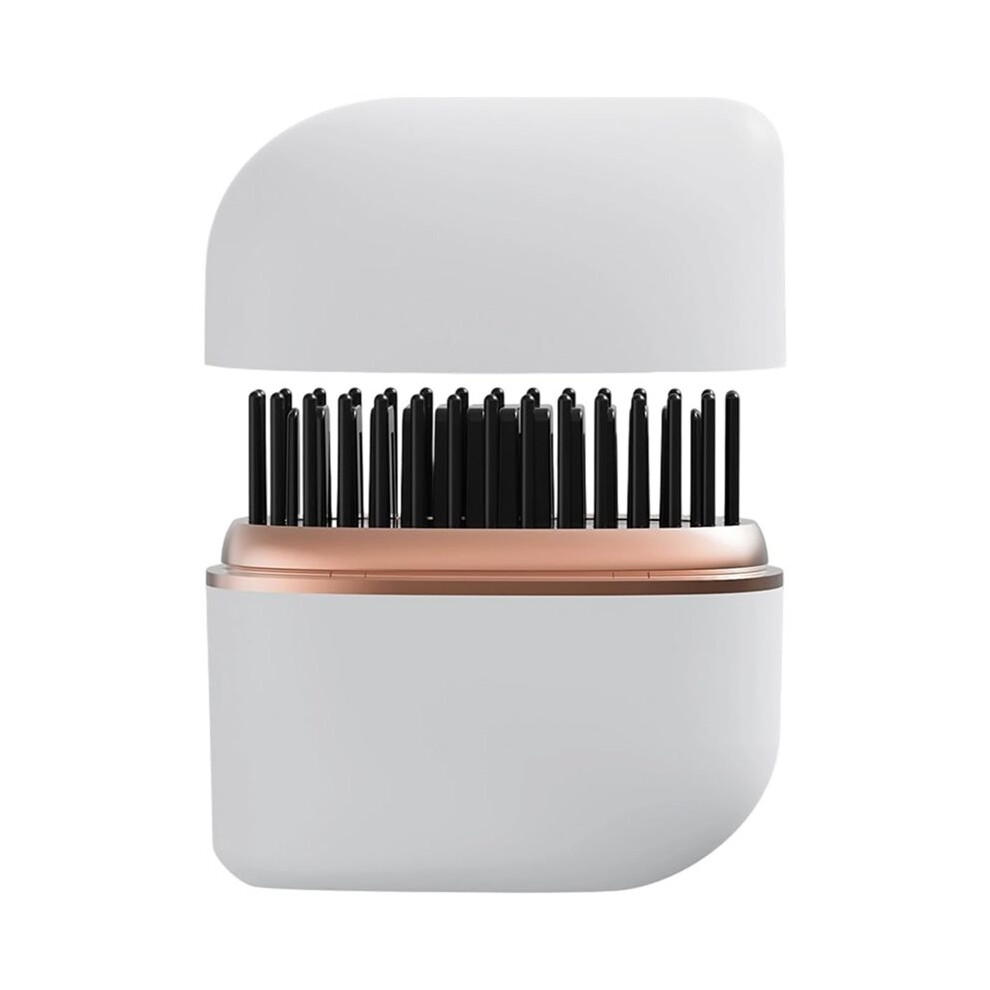 Melitt Small Hair Straightener Brush Conditioning Systems Multiple Temperature Levels Styling Comb For Hair Small Straightener