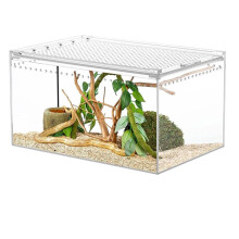 Acryl Terrarium voor Hagedissen, Reptielen, Schildpadden, Springspinnen, Gekko'S met Kuif en Baardagamen M