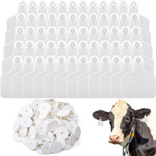 100 Pieces Blank Cow Ear Tags Large Plastic Livestock Ear Tags for Cow Horse Dog Pig Goat Sheep Farm Management White