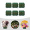 6Pièces Base Éponge Verte Pour Fleurs Fraîches 9