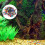 1Set Aquarium River Rocks Natuurlijke Look 5