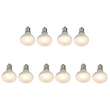 NOMOYPET Lampadina Uva Uva Rettile da 10 Pezzi per Rettili Calore Luminoso Come Il Sole per Rettili, Anfibi E Uccelli (100 W)