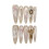 (L) 10Pcs French Tip Press On Nails with Bowknot 1