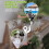 WIFI Hydroponic Equipment Intelligent Watering Device Double Pump Timed Automatic Drip Irrigation System 7