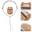 1Pièces Mini Kalimba Bois 8 Clés Instrument Doigts Multicolore 8