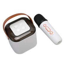 Tragbares Karaoke-Gerät mit RGB-Leuchten, 8cm Stereo-Bluetooth-Lautsprecher & Mikrofon in Weiß