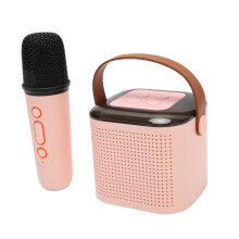 Portable Bluetooth Karaoke Machine with RGB Lights & Microphone Pink