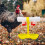10Pcs Automatic Chicken Waterer With Ball Valve Poultry Drinker 4