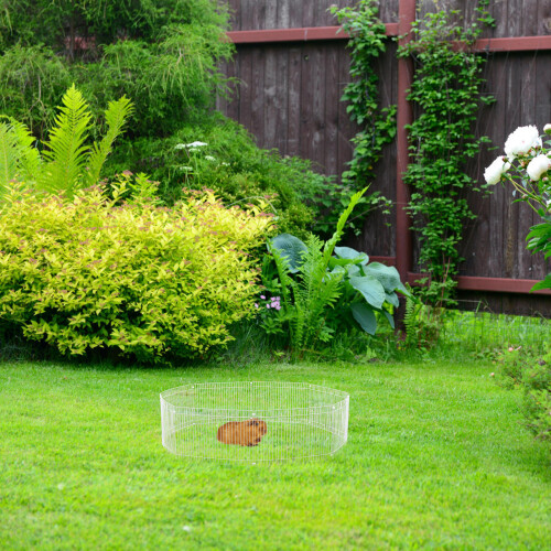 1Ensemble Parc Métal Pour Petits Animaux Blanc, Durable Et Sécurisant 2