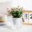 (100) Self-Watering Planter for Indoor/Outdoor Plants 1