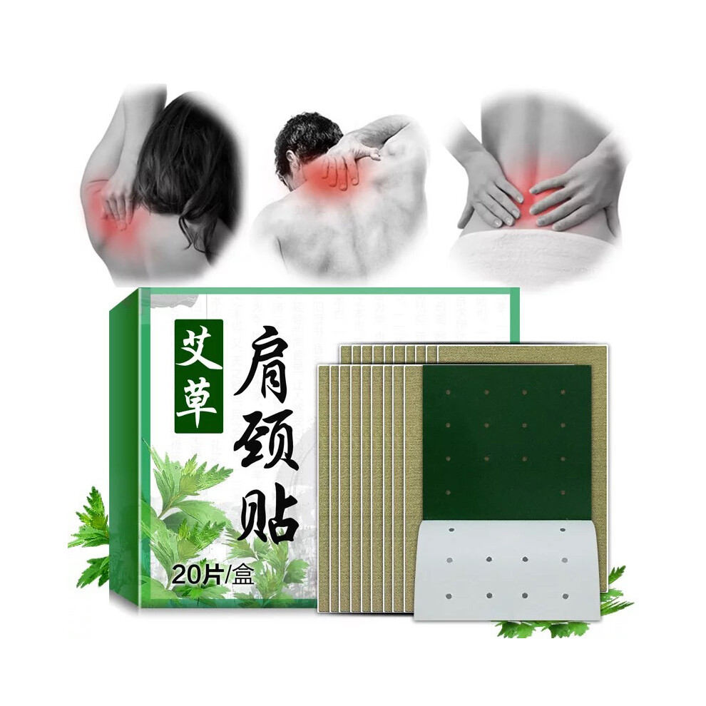 Dachuang Beauty 20Pcs Self-Heating Neck/Shoulder Pain Relief Pads
