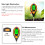 Soil Detector 4 in 1, 31x6x4 cm, Plastic/SS, Black 8