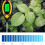 Soil Detector 4 in 1, 31x6x4 cm, Plastic/SS, Black 14