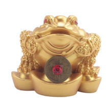 Chinese Feng Shui Money Lucky Fortune Ricchezza Rana Rospo Coin Decorazione Della Casa Home Office Decorazione Regali Fortunati Oro