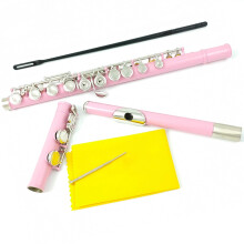 Pink Student C Flute 16 Keys with E Key, Durable Nickel Plated Cupronickel, Bright Clear Tone
