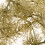 30Pcs Model Trees Without Leaves For Sand Table Railroad Landscaping 4