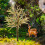 30Pcs Model Trees Without Leaves For Sand Table Railroad Landscaping 6