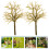 30Pcs Model Trees Without Leaves For Sand Table Railroad Landscaping 10