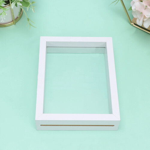 diy stereoscopic plant specimen frame double sided glass 6 inch white 2