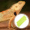 2Stk Robust Reptilienbodenmatte Hellgrün Wärmespeicher Eva 4