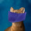 mascherina resistente antimorso per gatto e cane blu M 2,5-5 kg 5