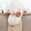 Cat Sling Carrier Large Space Canvas - Safe 10