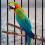 4St Vogelparadijs Perch Met Voeder Huisdieren 4