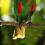 4St Vogelparadijs Perch Met Voeder Huisdieren 5