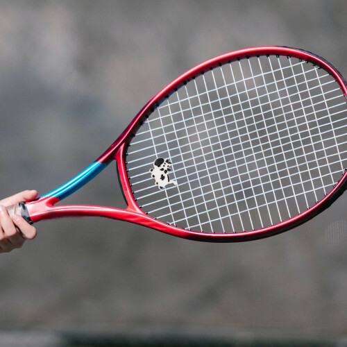 5 stuks trillingsdemper voor racket - schokabsorberend accessoire 2