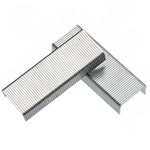 1000Pcs Galvanized Staples Silver 6Mm Nail 2