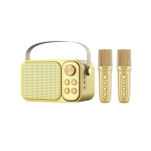 Système de Karaoké Portable  avec 2 Microphones Sans Fil - Idéal pour Chanter en Famille à la Maison - Cadeau pour Enfants