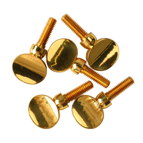 5 Pcs Saxophone Neck Screw Set 1