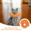 3 Pack Cat Collar After Surgery Cute For Cones To Stop Scratching 3